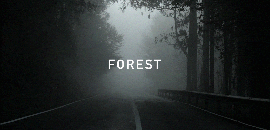 forest-optimized